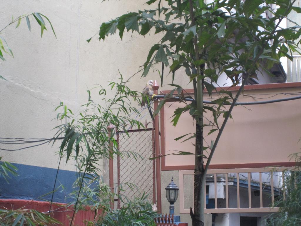 Tasi Dhargey Inn Kathmandu Buitenkant foto