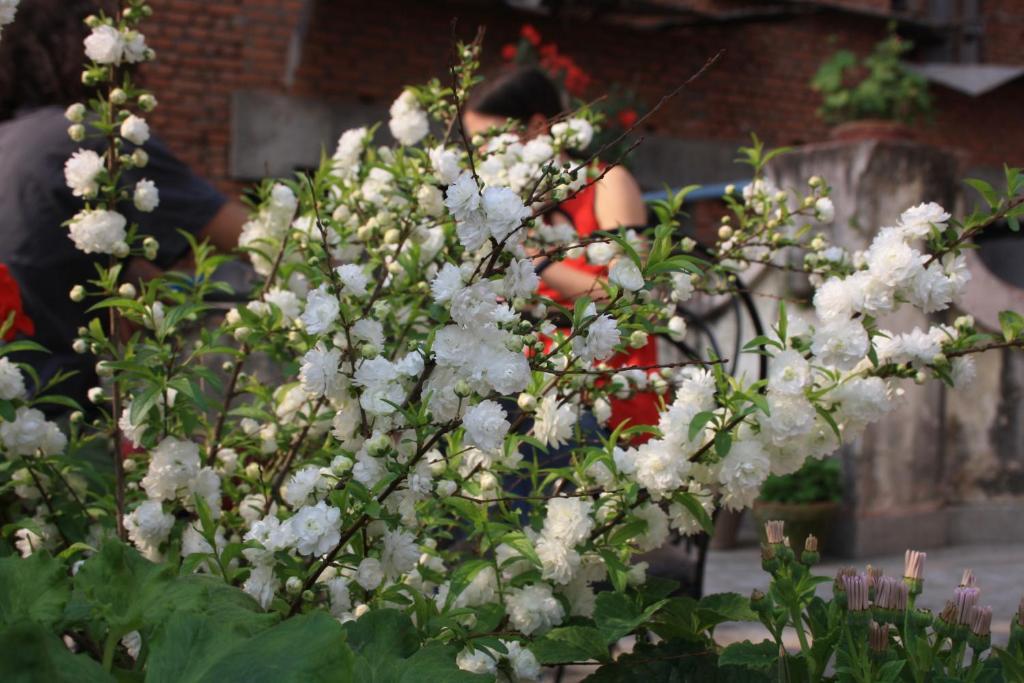 Tasi Dhargey Inn Kathmandu Buitenkant foto